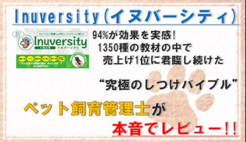 inuversity-eyecatch