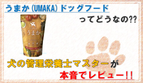 umakadogfood-eyecatch