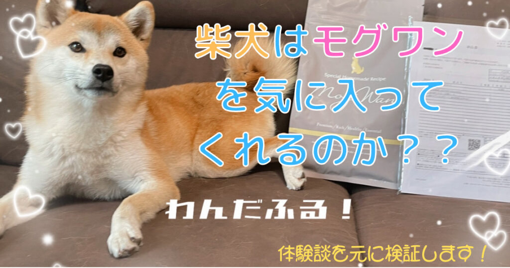 moguwan-shibainu