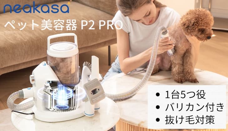 P2 Pro-2