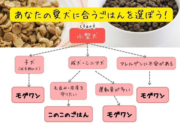 モグワンとこのこのごはんの比較_小型犬の選び方