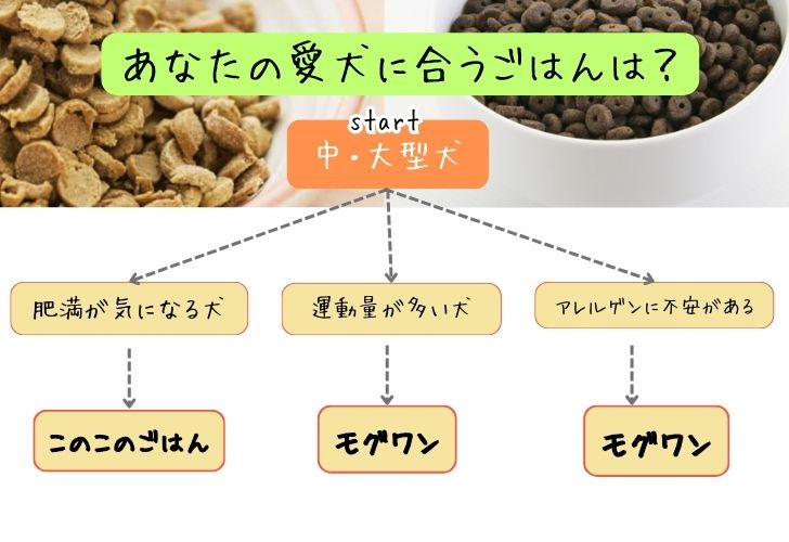 モグワンとこのこのごはんの比較_中型、大型犬の選び方