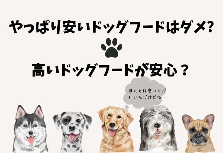 やっぱり安いドッグフードはダメなの?安いドッグフードと高いドッグフードの違いを解説!